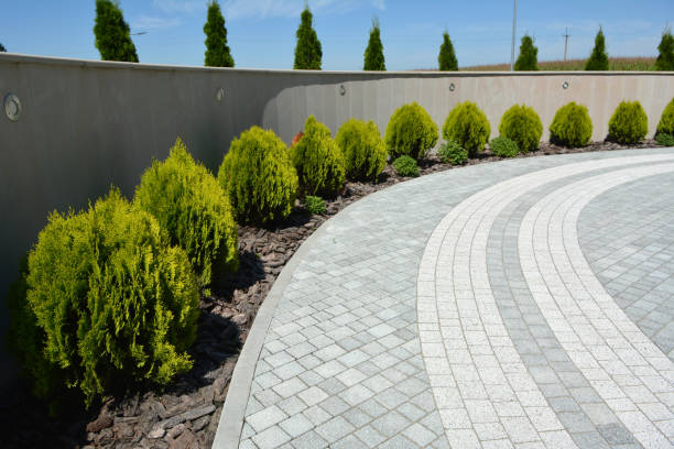 Best Local Driveway Pavers  in Tipton, IA
